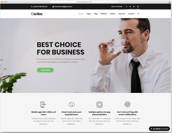 user-friendly WordPress theme