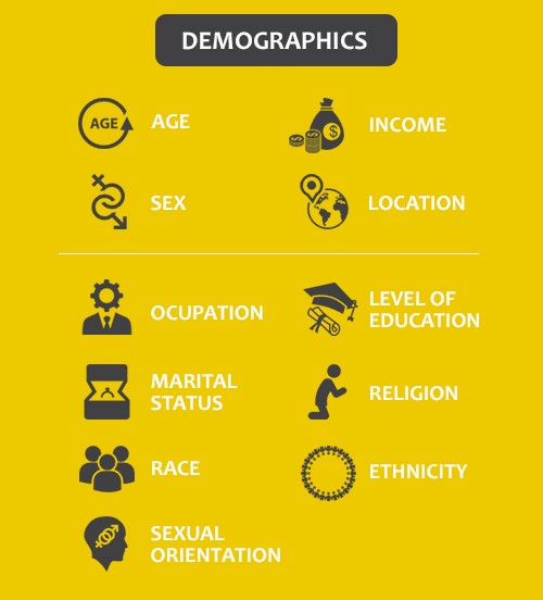 features of demographics